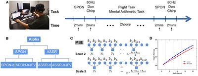 Mental fatigue decreases complexity: Evidence from multiscale entropy analysis of instantaneous frequency variation in alpha rhythm